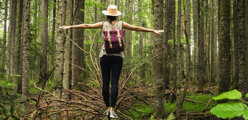 Use Some Time Out In Nature to Raise Your Well-Being