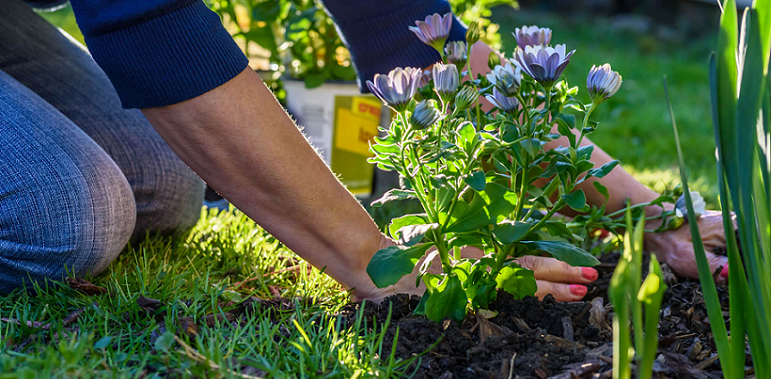 person natural gardening