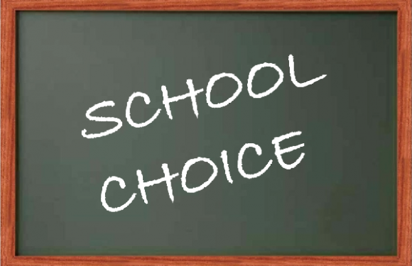 School Choice Educational Economics
