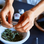 alternative medicine main