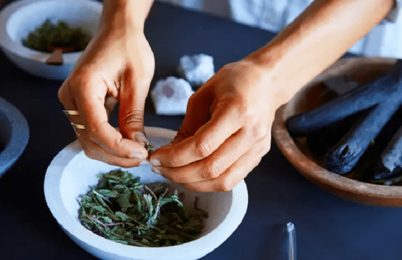 Is Alternative Medicine as Important as Traditional Medicine?