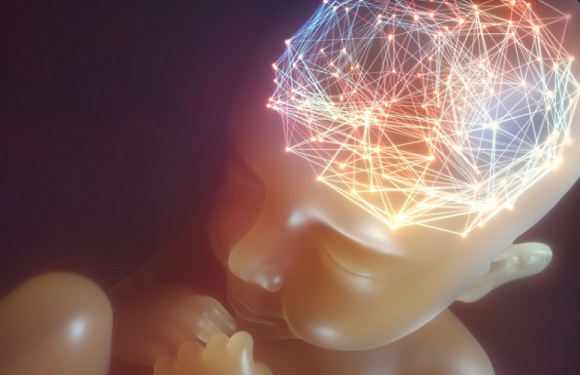 Increasing Brain Power Pre-Birth