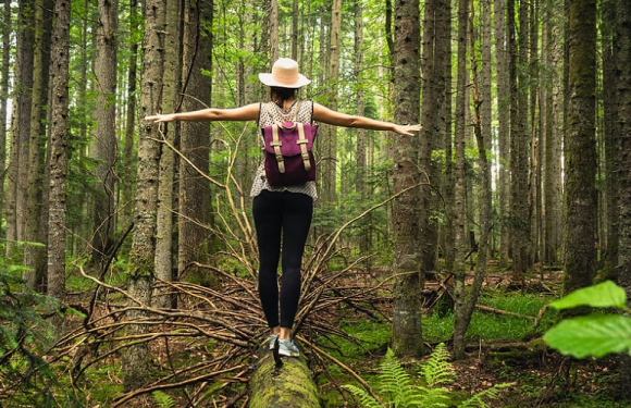 Use Some Time Out In Nature to Raise Your Well-Being