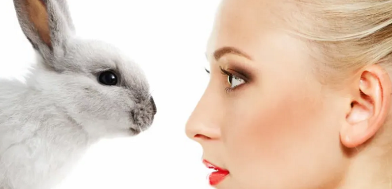 There’s No Reason to Not Use Cruelty-Free Skincare