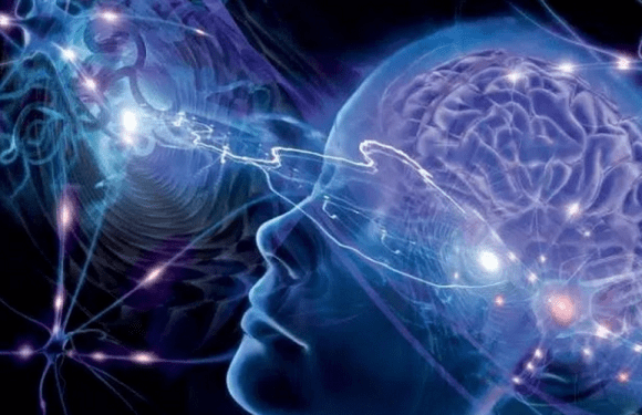 The Science of Suggestion: Utilizing the Laws of the Mind in Coaching